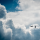 Illustration for article titled Play Fight: Lightning II, Raptor, Rafale, and Typhoon Compete For An Atlantic Trident